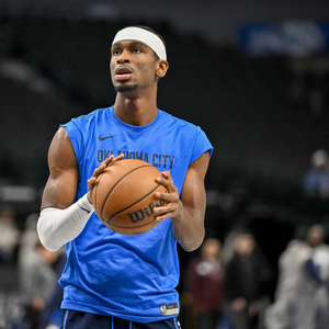 期间被允许 期间被允许